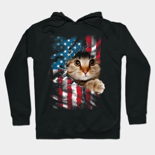 Patriotic Cat 4th Of July Men USA American Flag Women Hoodie